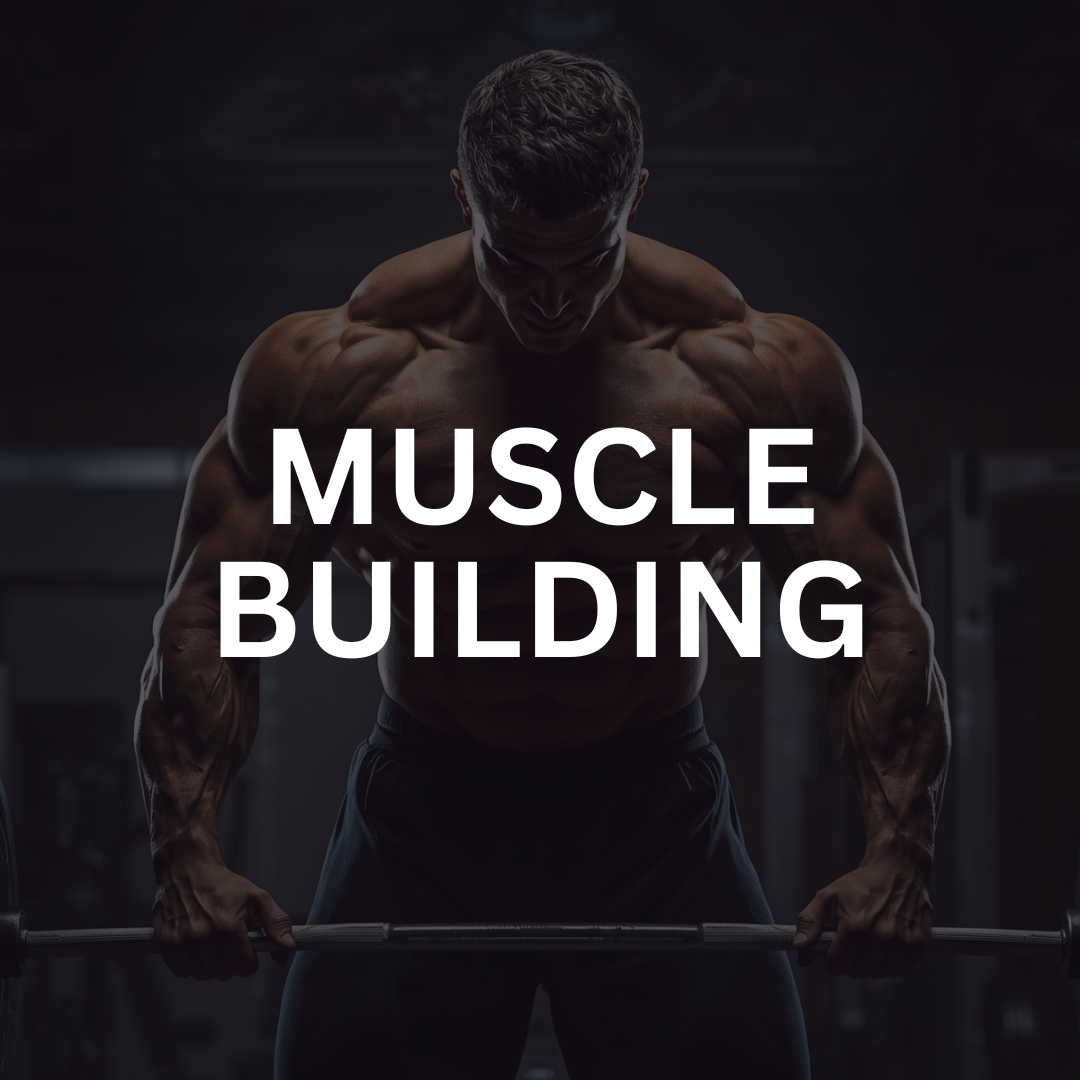 Muscle Building