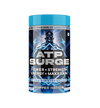 ATP Surge : Blend of Creatine, Betaine, Taurine 450 Grams (30 Servings) Blueberry