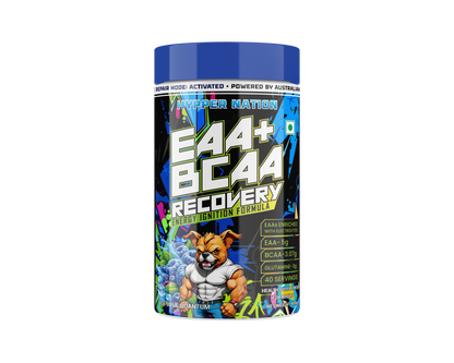 EAA+BCAA RECOVERY FLAVOUR:- ICE BLUE QUANTUM