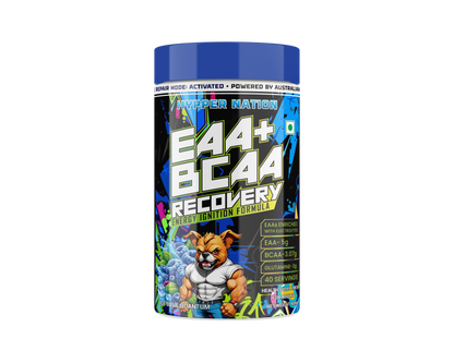 EAA+BCAA RECOVERY FLAVOUR:- ICE BLUE QUANTUM