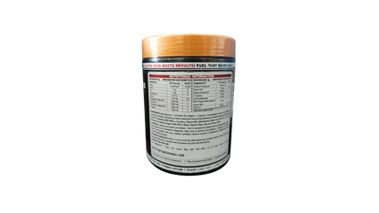 EVERLAST PRE WORKOUT  500G  100 SERVINGS